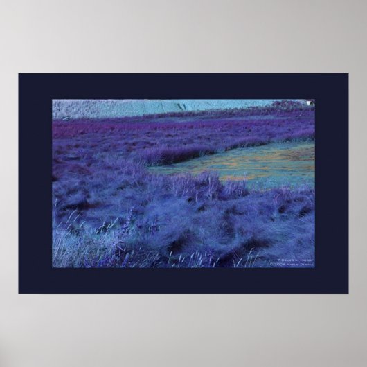 P Hieronder in Indigo Poster (Voorkant)