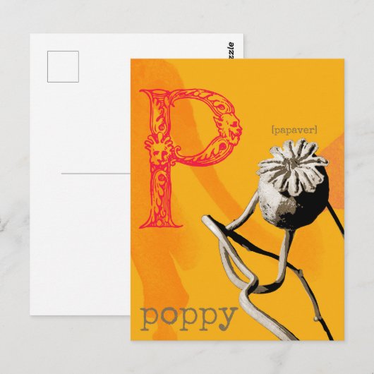 P is voor Poppy Briefkaart (Voorkant / Achterkant)