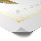 P.J. Redoute Bourbon Roos Poster (Hoek)