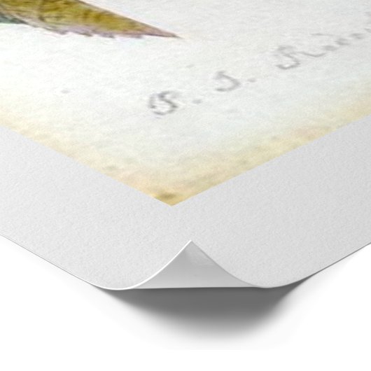 P.J. Redoute Bourbon Roos Poster (Hoek)