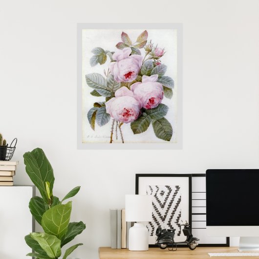 P.J. Redoute Bourbon Roos Poster (Thuiskantoor)