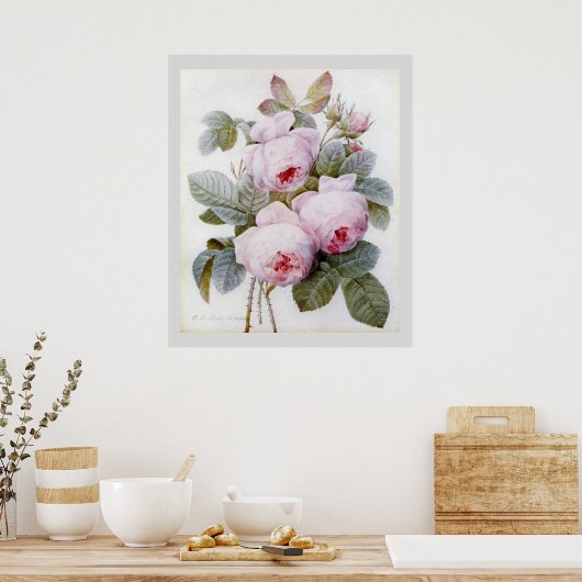 P.J. Redoute Bourbon Roos Poster (Keuken)
