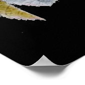 P.J. Redoute Bourbon Rose Bouquet op Black Poster (Hoek)