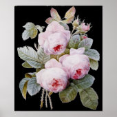 P.J. Redoute Bourbon Rose Bouquet op Black Poster (Voorkant)
