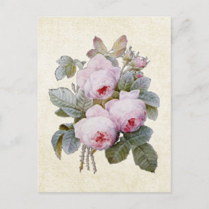 P.J. Roos van Redoute Bourbon Floral Briefkaart