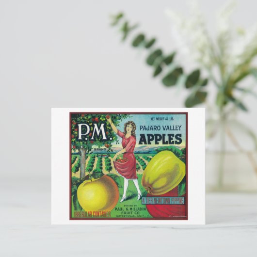 P.M. Apple Crate LabelWatsonville, CA Briefkaart (Staand voorkant)