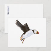 P. Puffin / carte postale Briefkaart (Voorkant / Achterkant)