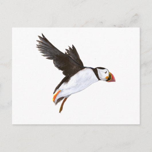 P. Puffin / carte postale Briefkaart (Voorkant)