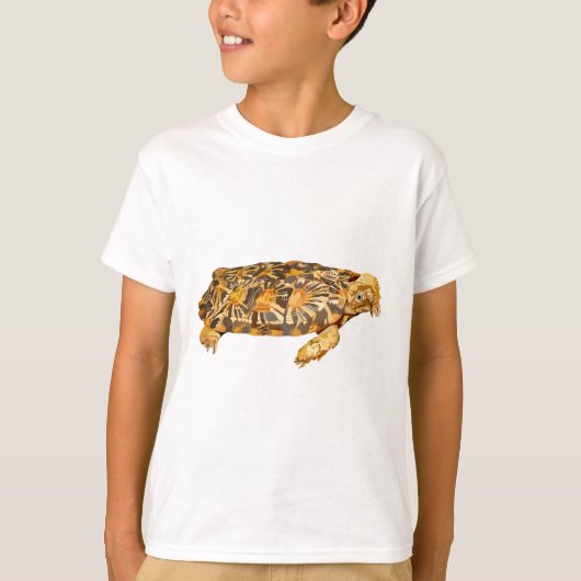 P staat voor Pancake Tortoise T-shirt (Voorkant)