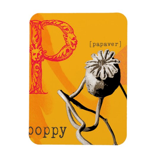 P staat voor papaver magneet (Verticaal)