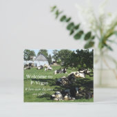 P-Vegas Platteville, Wisconsin Briefkaart (Staand voorkant)