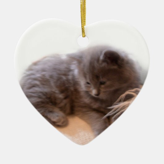 © P Wherrell Cute long haire grijze kitten Keramisch Ornament (Voorkant)