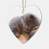 © P Wherrell Cute long haire grijze kitten Keramisch Ornament (Links)