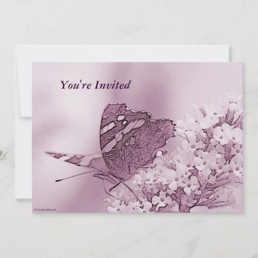 © P Wherrell hedendaagse vlinder op boeddleia Kaart (Voorkant)