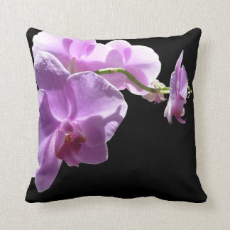 © P Wherrell Pink orchid op zwarte achtergrond Kussen