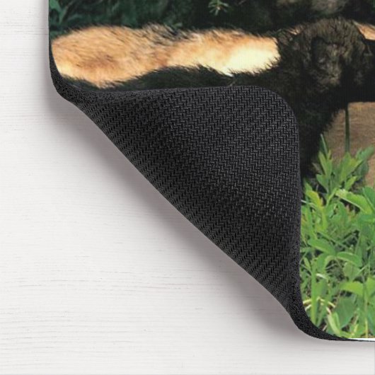 p-Wolves_Bay_Street_Cal2001 Muismat (Hoek)