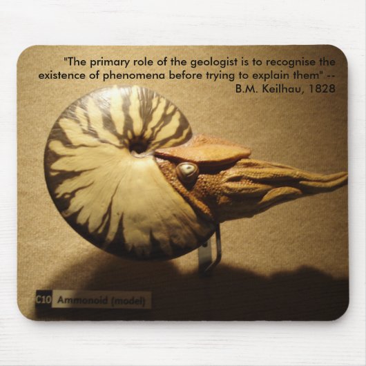 PA060013 MUISMAT (Voorkant)