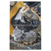 PA Kittens 2 jaar agenda Kalender (Feb 2027)