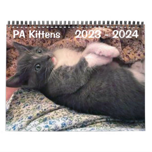 PA Kittens 2 jaar agenda Kalender