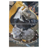 PA Kittens 2 jaar agenda Kalender (Feb 2026)