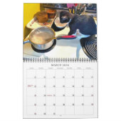 PA Kittens 2 jaar agenda Kalender (Mar 2026)