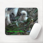 Pa met S2 Mousepad Horizontal 5 Muismat (Met muis)