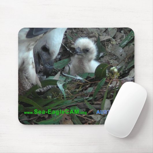 Pa met S2 Mousepad Horizontal 5 Muismat (Met muis)