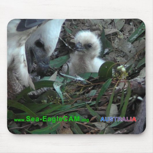 Pa met S2 Mousepad Horizontal 5 Muismat (Voorkant)