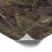 Pa NDoRA, door John William Waterhouse, 1896 Poster (Hoek)