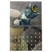 PA Paws 12 maanden Persoonlijk kalender (Jan 2027)