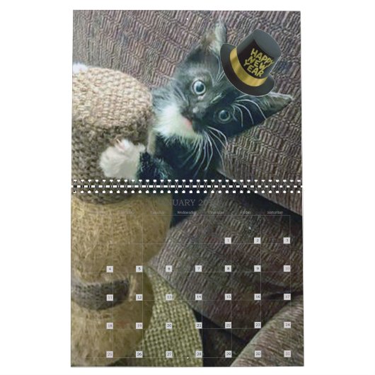 PA Paws 12 maanden Persoonlijk kalender (Jan 2026)