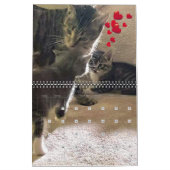PA Paws 12 maanden Persoonlijk kalender (Feb 2027)