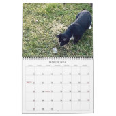 PA Paws 12 maanden Persoonlijk kalender (Mar 2026)