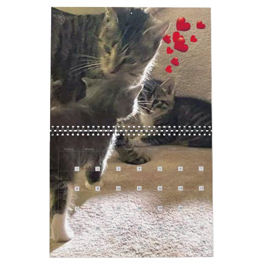 PA Paws 12 maanden Persoonlijk kalender (Feb 2026)