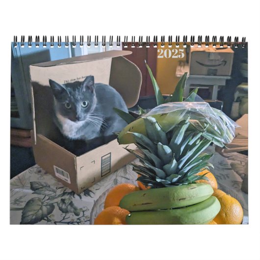PA Paws 2025 12 maanden gepersonaliseerde kalender (Hoes)
