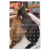 PA Paws 2 jaar kalender (Feb 2027)