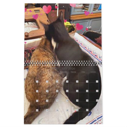 PA Paws 2 jaar kalender (Feb 2026)