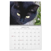 PA Paws 2 jaar kalender (Mar 2026)