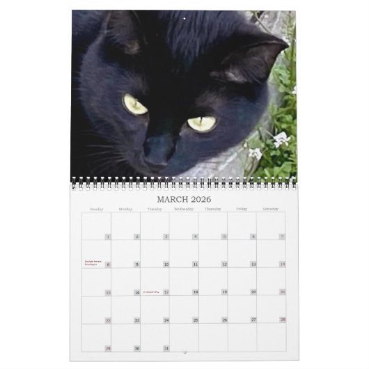 PA Paws 2 jaar kalender (Mar 2026)