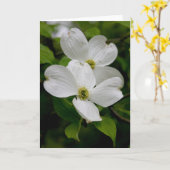 PA Wildflowers - Dogwood Notecard Kaart (Gele Bloem)
