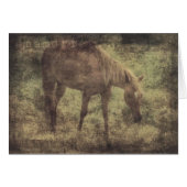 Paa Herinneringen Grunge (Voorkant Horizontaal)