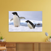 Paar Adelie-pinguïns Antarctica Canvas Afdruk (Insitu (Woonkamer))