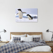 Paar Adelie-pinguïns Antarctica Canvas Afdruk (Insitu (Slaapkamer))