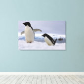 Paar Adelie-pinguïns Antarctica Canvas Afdruk (Insitu (Houten vloer))