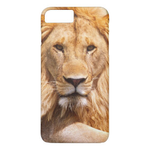 Paar Afrikaanse Leeuwen, Panthera leo, Tanzania Case-Mate iPhone Case