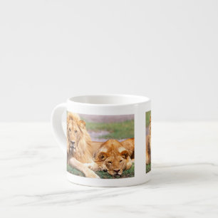 Paar Afrikaanse Leeuwen, Panthera leo, Tanzania Espresso Kop