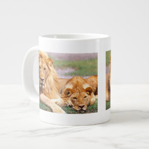 Paar Afrikaanse Leeuwen, Panthera leo, Tanzania Grote Koffiekop