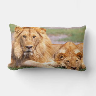 Paar Afrikaanse Leeuwen, Panthera leo, Tanzania Kussen