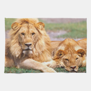Paar Afrikaanse Leeuwen, Panthera leo, Tanzania Theedoek