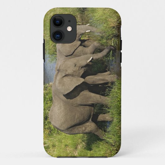 Paar Afrikaanse Olifanten Masai Mara Case-Mate iPhone Case (Achterkant)